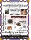  منيو هوم كوكينج كومبانى  مصر